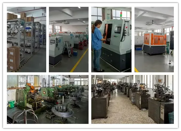 1736147326338 1736147326338