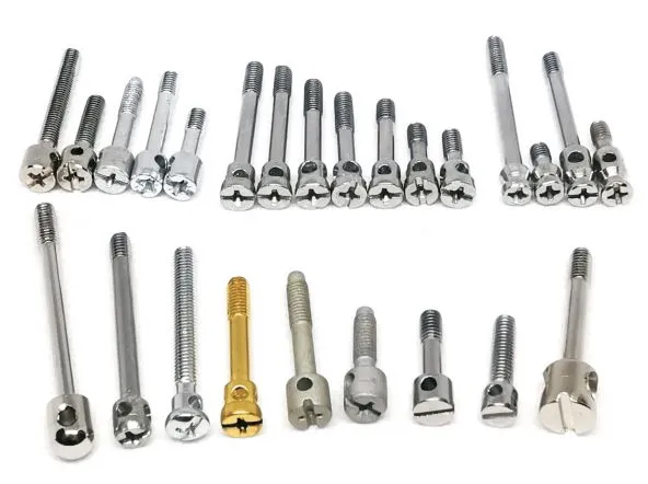 Stainless Steel Sealing Screw